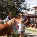 phoca_thumb_m_ponk 166 Fotogalerie